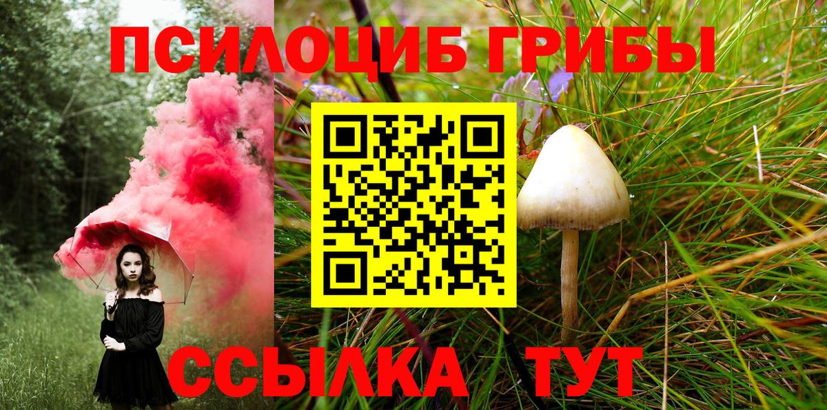 Псилоцибиновые грибы MAGIC MUSHROOMS Кострома